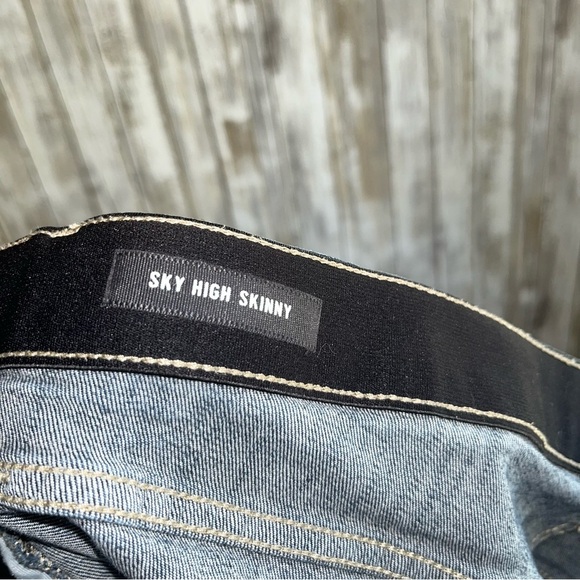 Torrid Sky High Skinny Denim Shorts - Picture 5 of 5